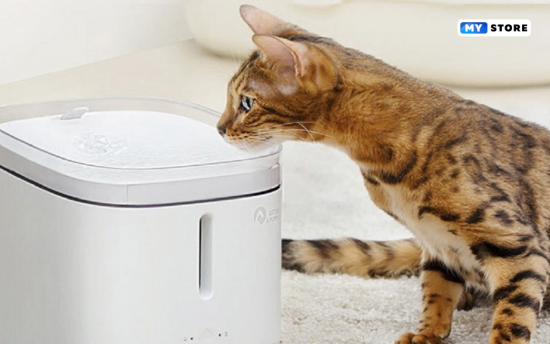 Полезные товары для животных от Xiaomi  