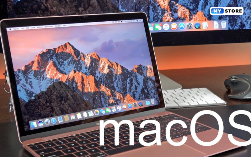 Для чего нужна папка «Перемещённые объекты» в macOS
