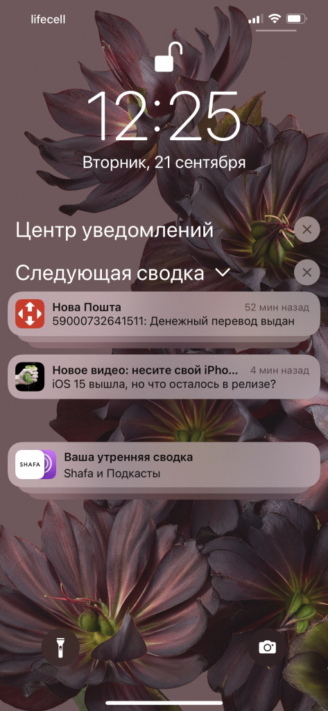 ios-15-novye-moshchnye-funktsii3.jpg