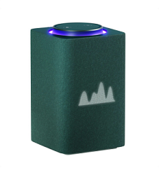 Яндекс Станция с Алисой